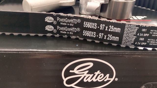 Gates K025560XS