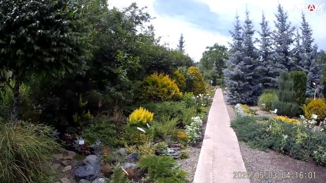 Дендрарий Село Алтайское смотреть онлайн