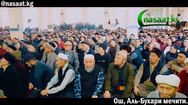 Үйдө “тамак-аш” жок, деп кайгырба! Шейх Абдишүкүр Нарматов. смотреть онлайн