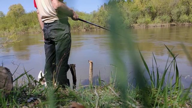 Вылазка на рыбалку в мае. Испытываю раколовки на реке Ине смотреть онлайн