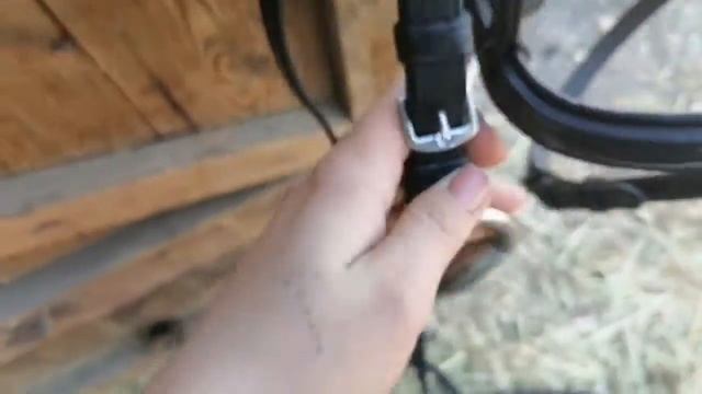 Обзор уздечки Decathlon