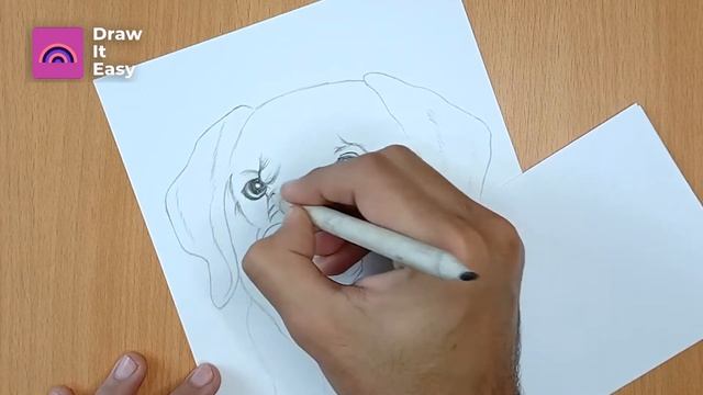 Online classes: How To Draw A Realistic Dog Face Step By Step | Dog Sketch смотреть онлайн