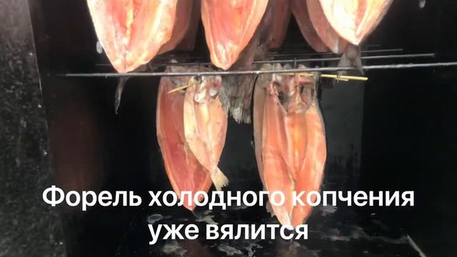 Форель холодного копчения смотреть онлайн