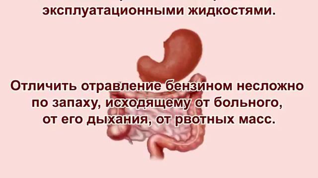 Основные проявления отравлений выхлопными газами смотреть онлайн