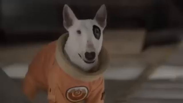 kinopoisk ru Space Buddies 34191 смотреть онлайн