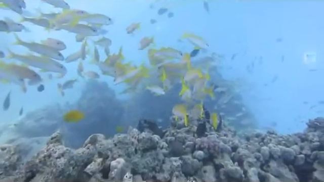 p2015 09 11 13'37'29 смотреть онлайн