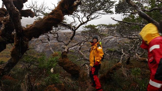 ОГНЕННАЯ ЗЕМЛЯ смотреть онлайн