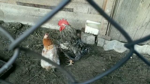 Обычная история смотреть онлайн