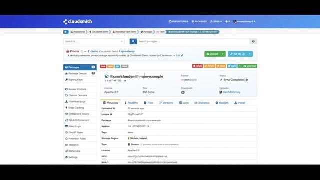 Getting Started with npm and Cloudsmith смотреть онлайн
