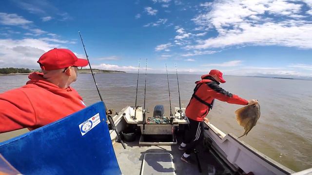 Sea Fishing Bristol Channel/South Wales/MOD - Blonds/Huss/Smooth Hounds смотреть онлайн
