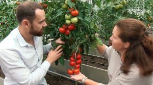 Делаем прочные грядки с дугами своими руками.  НА ВСЮ ЖИЗНЬ!