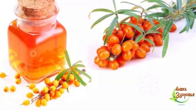 Облепиховое масло применение и лечебные свойства смотреть онлайн