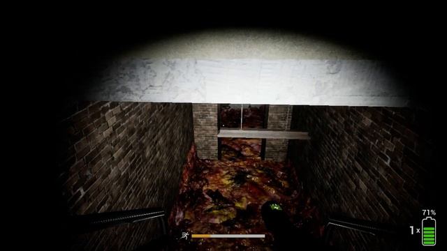 ПОЛНОЕ ПРОХОЖДЕНИЕ SCP:BLACKOUT смотреть онлайн