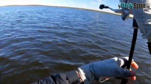 Воблеры против свимбейтов! Ловля ЩУКИ. Рыбалка с #OnlySpin