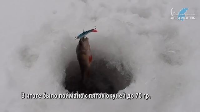 Первый лёд. Озёра Луковка, Верхний Боровец и Песочное.Сайт "Рыболов НН" смотреть онлайн