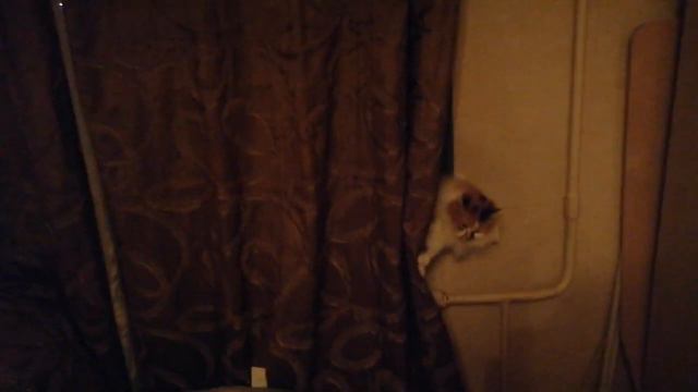 Как все мы вместе ложимся спать смотреть онлайн