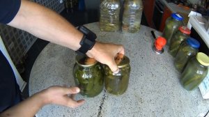 ОГУРЦЫ в ПЛАСТИКОВОЙ БУТЫЛКЕ на ЗИМУ. Выпуск №272