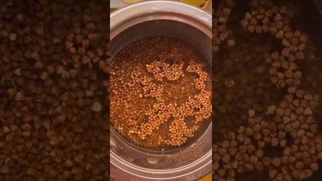 Легче не придумаешь!Нежная тушеная говядина ?Сиыр етінен жасалған бұқтырғыш Tasty Beef Stew ?