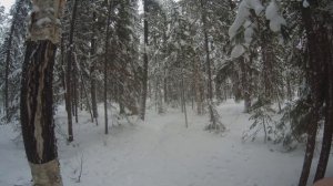 Испытание Секретной Приманки Из Тюбика | Охота На Соболя