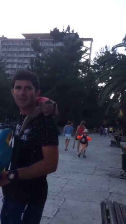 Гостеприимная Абхазия смотреть онлайн