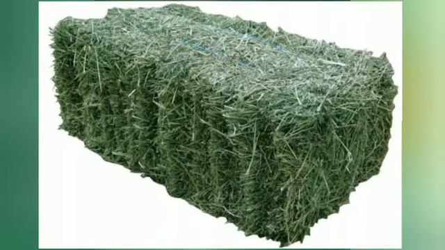 Куплю ...Клевер-Салома Подпокровный сено звоните любой время. смотреть онлайн