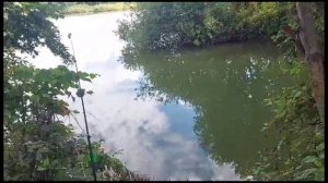 Рыбалка на карпа,на донную снасть | Рыбалка на карповики