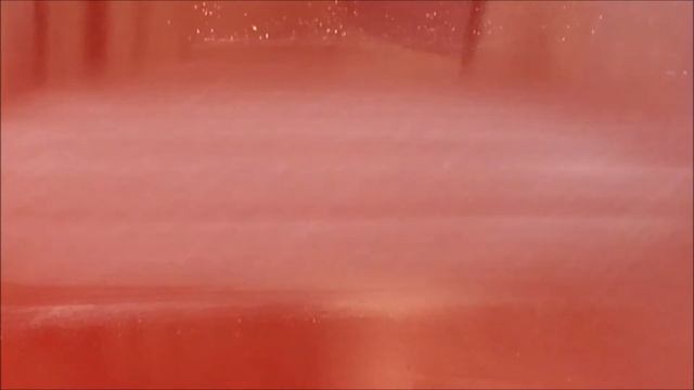 Sunmight Scuff Pads смотреть онлайн