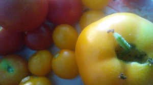 VID_20240904_152027.mp4