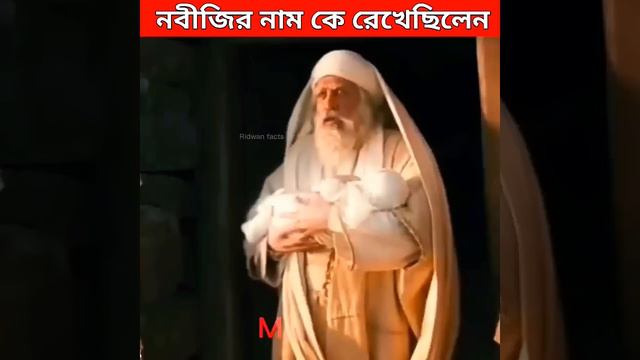 নবীজির নাম কে রাখলেন? смотреть онлайн