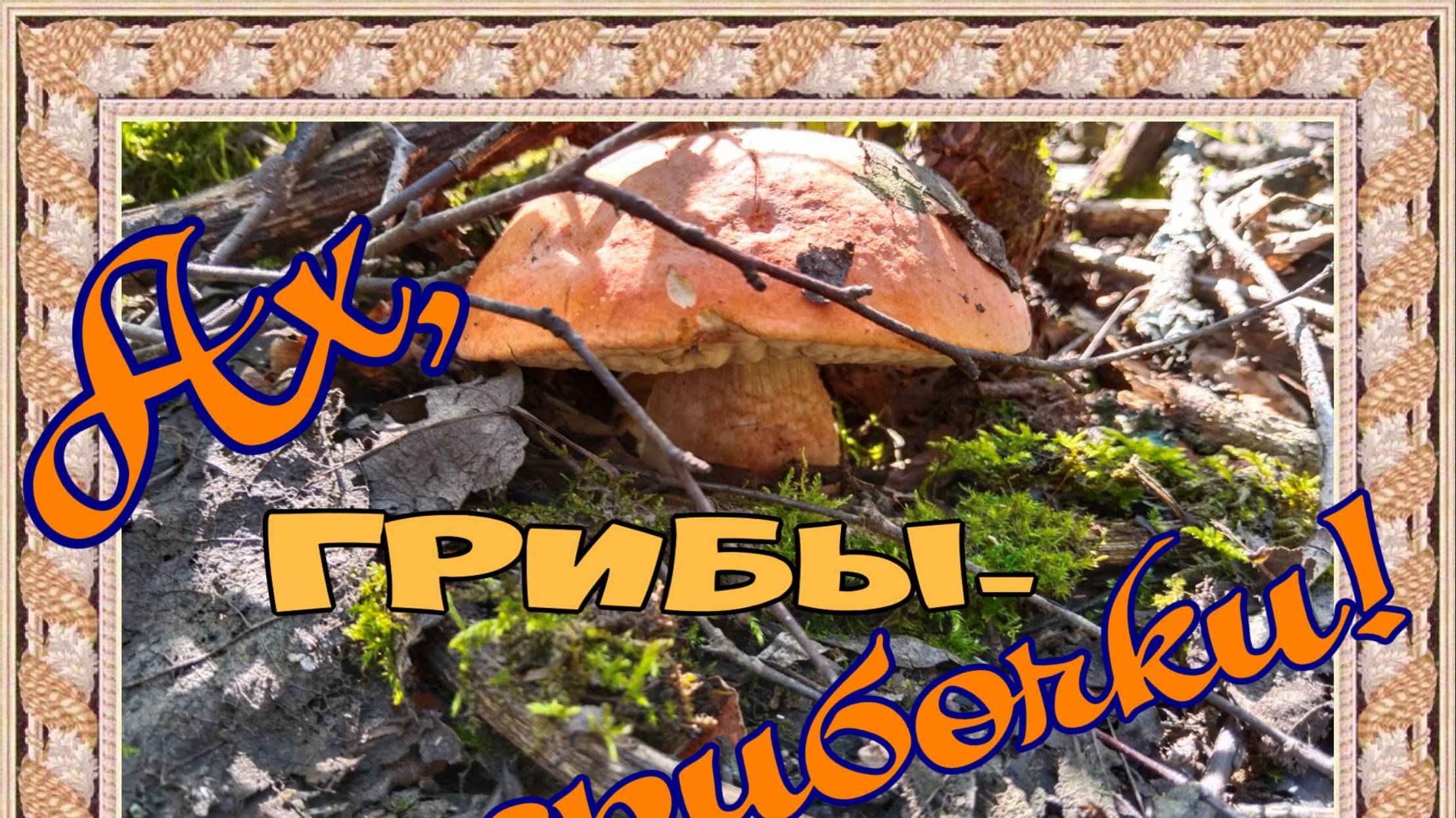 Грибы-грибочки
