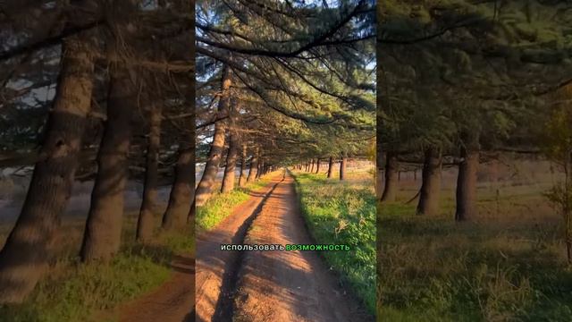 Вопросы и ответы в кулинарии