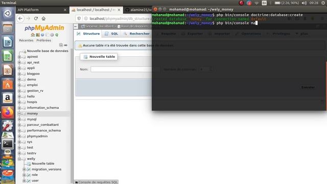 Symfony API projet wely money part 1 смотреть онлайн