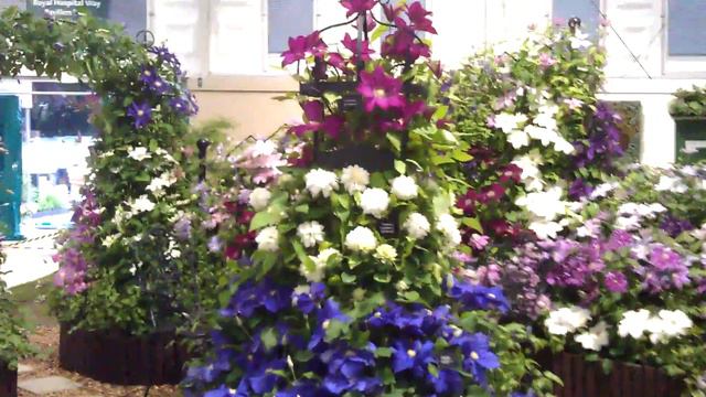 Chelsea 2012 before judging. смотреть онлайн