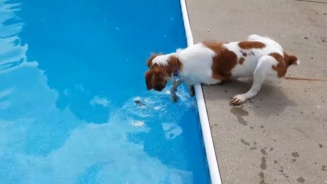 Zoey gone git dat frog смотреть онлайн