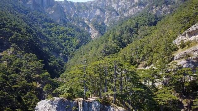 Только когда заболела, поняла, что мои соседки ближе и роднее, чем сын смотреть онлайн