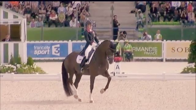 Виды конного спорта. Выездка смотреть онлайн