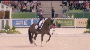 Виды конного спорта. Выездка