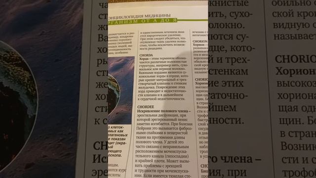 Что такое хорда в медицине ? смотреть онлайн