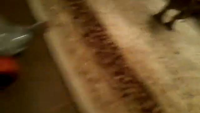 11 января 2017 г. май игрушки смотреть онлайн