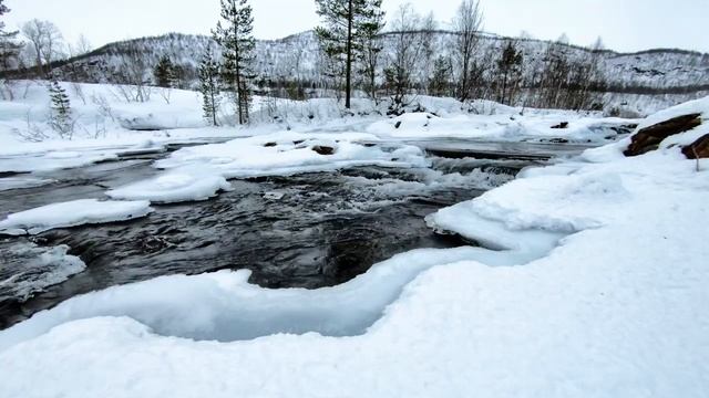 Calming sound of a river in the winter forest смотреть онлайн