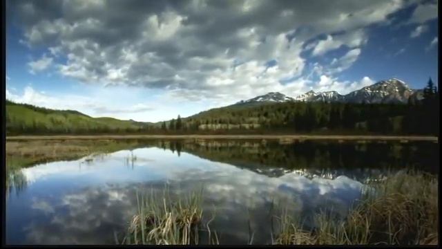 WisdomFilm Trailer - Jyoti "Walk On" смотреть онлайн
