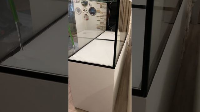 Доставка и запуск полное смотреть онлайн