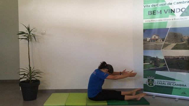 Aula 33 de 2020 - Pilates смотреть онлайн