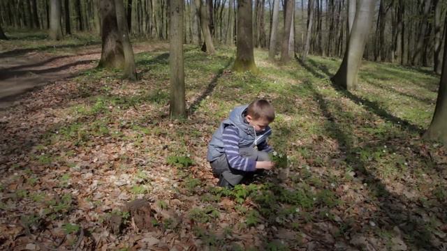 Лист матері. Твір Сергія Єсеніна звучить Русинською смотреть онлайн