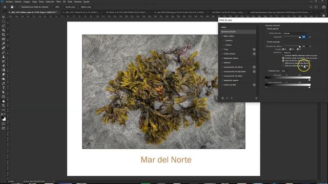 Curso de Photoshop 23 - Herramienta Texto en Photoshop CC 2020 смотреть онлайн