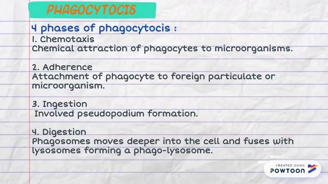IMMUNE SYSTEM AND DEFENSE