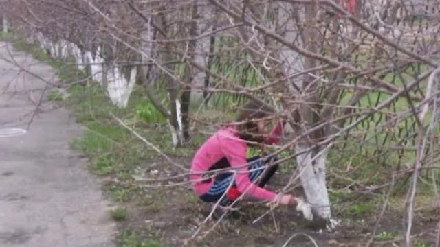 Это лучшая из школ смотреть онлайн