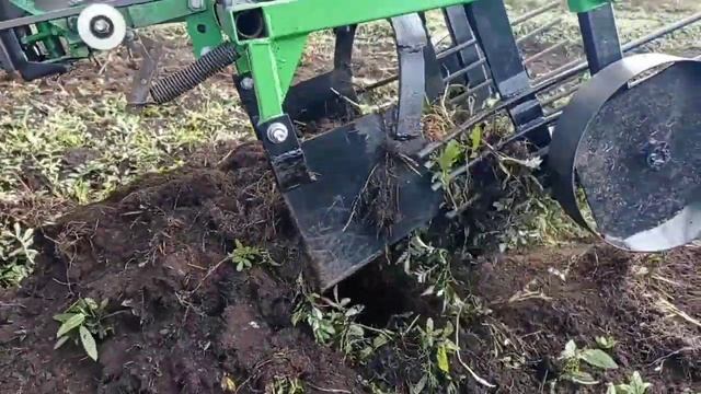 Картофелекопалка не в силах справится с сырым дернистым торфяником смотреть онлайн