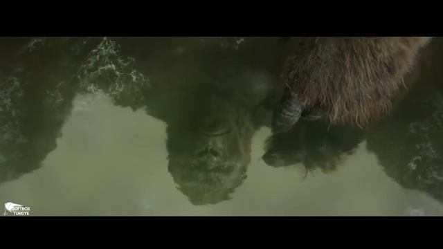 Остров Kong Skull Kong против Осьминога Бой Клип 614 hd смотреть онлайн