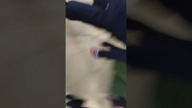 Школа 5частю смотреть онлайн
